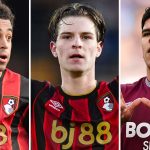 skysports-premier-league-tyler-adams_7239653.jpg